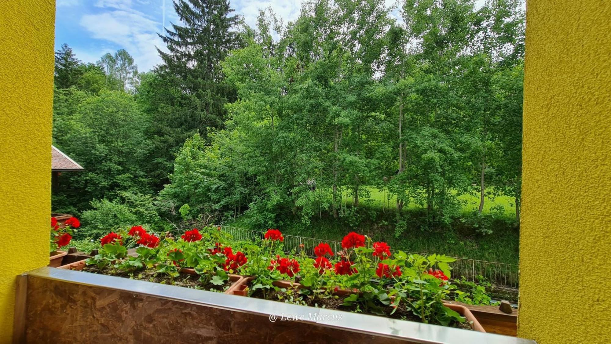 Appart-Pension Seehang Velden am Wörthersee Exteriör bild